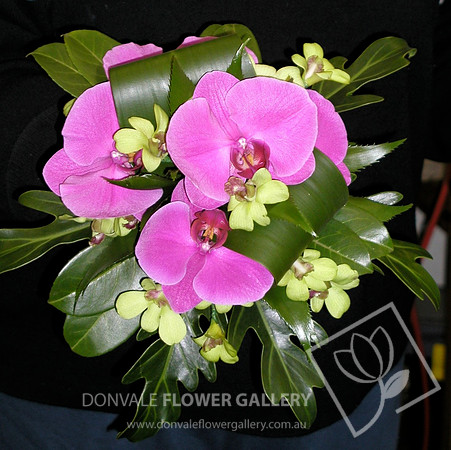 orchid posies 5