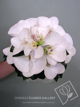 orchid posies 11