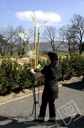 Function Flowers