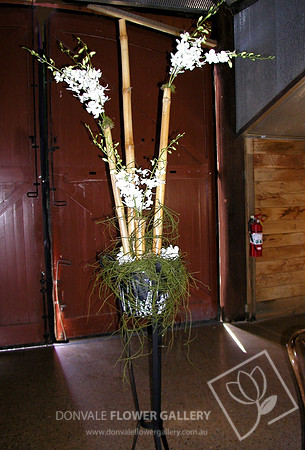 Function Flowers - orchids