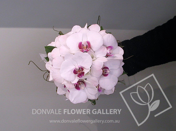 orchid posies 17