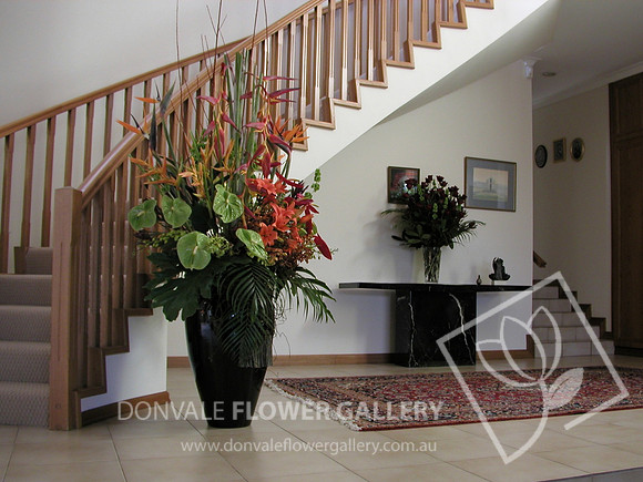 House Flowers