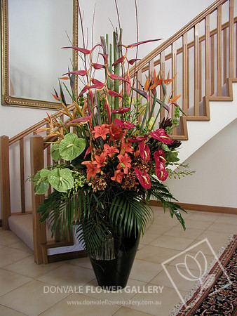House Flowers
