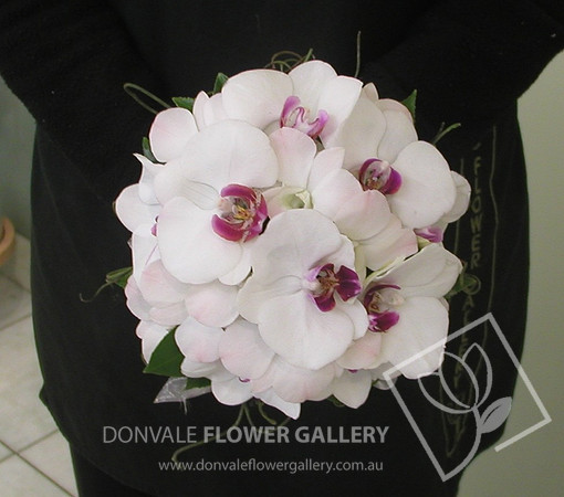 orchid posies 14